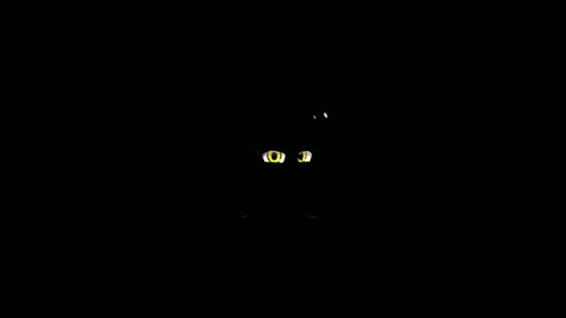 МЕМЕ: Я не знаю название поэтому просто ... смотреть онлайн