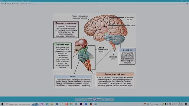 Как настроить свой мозг? Контестная психология. смотреть онлайн