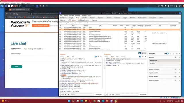 PwnLab.Me Web Socket Zafiyetleri Eğitimi - Kaan Bıçaklar смотреть онлайн