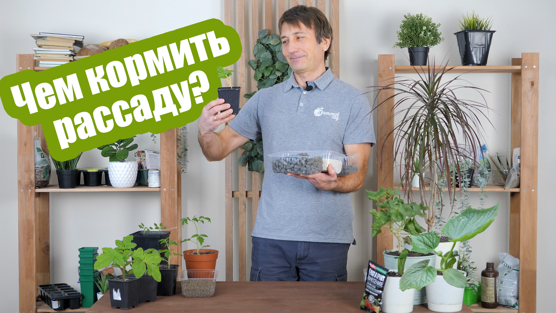 Главные подкормки рассады! Какие удобрения нужны рассады овощей смотреть онлайн