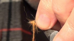 НИМФА ,,ВЕСНЯНКА- ПОДЕНКА,, вариант SVA.