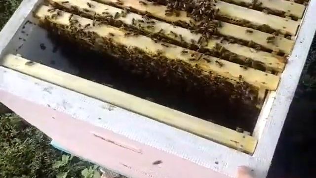 Вариант торцовки полистирольных корпусов смотреть онлайн