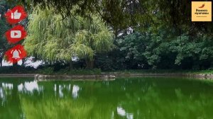 Рассказ мужчины | Измена Жены. Изменила с братом. Месть мужа. Реальная история Часть 2