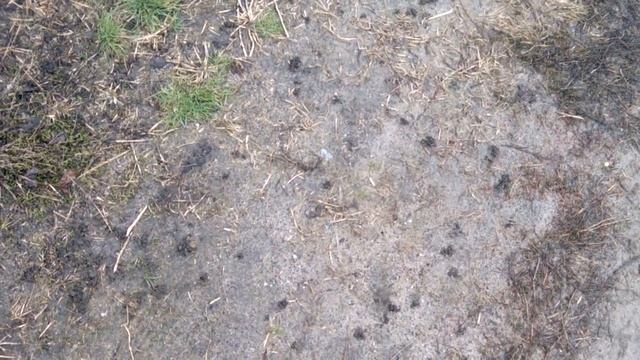 ? Когда начинать посадки. Признак прогрева земли для начала посадок. #народнаяпримета смотреть онлайн