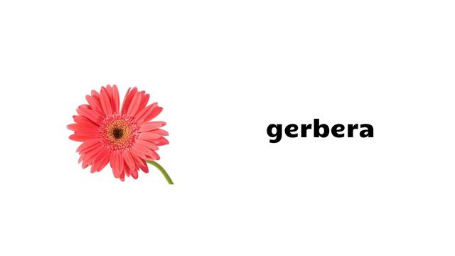 English Vocabulary - FLOWERS смотреть онлайн