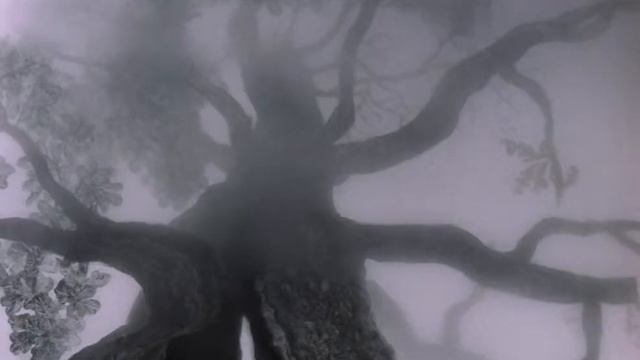 Ёжик в тумане, мультик, HD