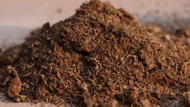 Черешня Ревна смотреть онлайн