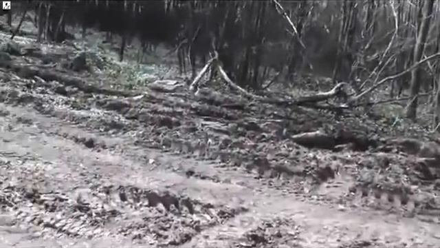 Анталовецкая поляна (видеомаршрут) смотреть онлайн