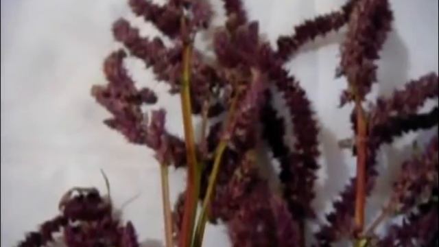 Уроки Пения и Вокала