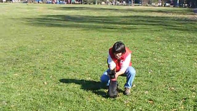 DSCF0015.AVI Animal Behavior College BG смотреть онлайн