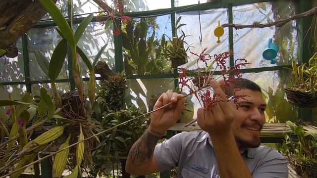 Exploring an Orchid Garden in Monteverde, Costa Rica | Travel Vlog смотреть онлайн