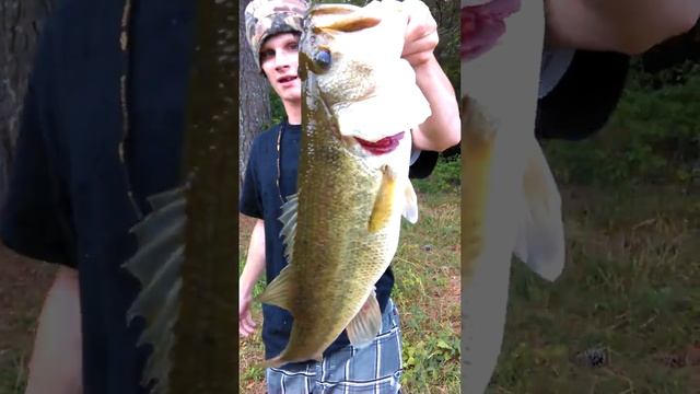 8 pound bass on booyah popping frog смотреть онлайн