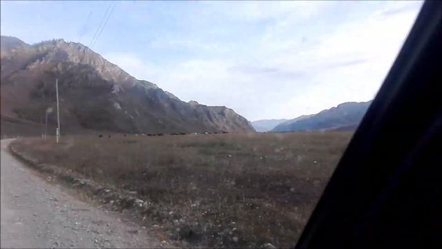 дорога в ГОРНОМ АЛТАЕ смотреть онлайн