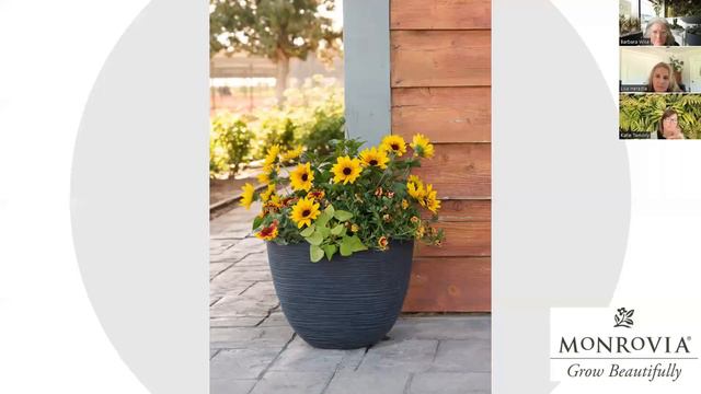 Ask the Experts about Container Design and Transition for your Garden смотреть онлайн