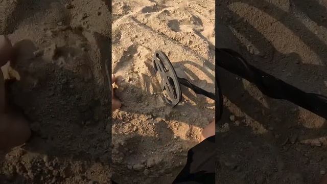 Metal detector Quest x10pro #metaldetector #lost #gold смотреть онлайн