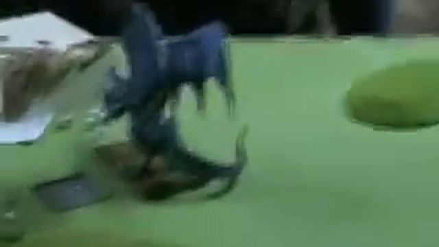 День игры 2007 смотреть онлайн