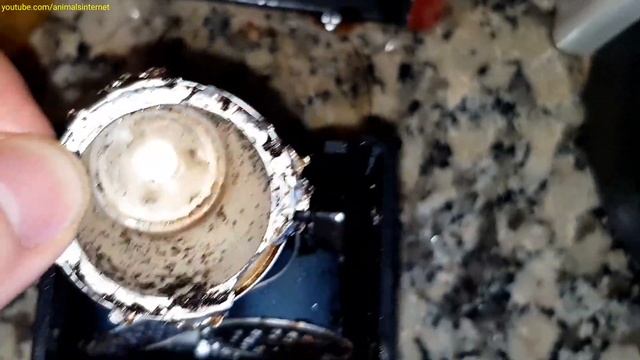 How to remove a jammed & exploded capsule on a Nespresso Delonghi Essenza Mini coffee machine смотреть онлайн