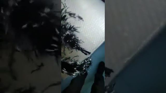 Боа из перьев страуса, однослойное, длинна 2м. - Черно-белый цвет смотреть онлайн
