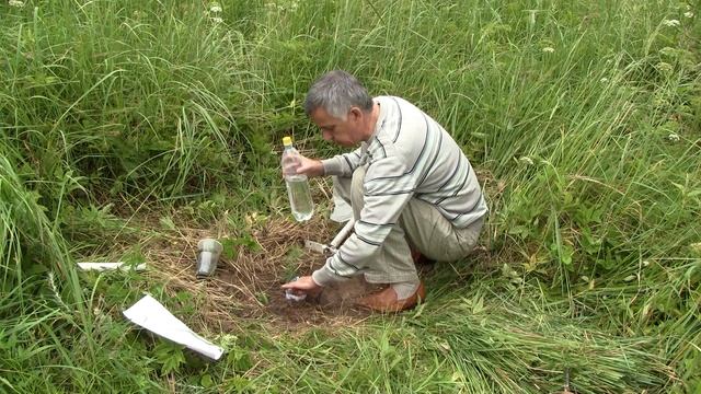 Как сажать саженцы, деревья летом. Часть 1.