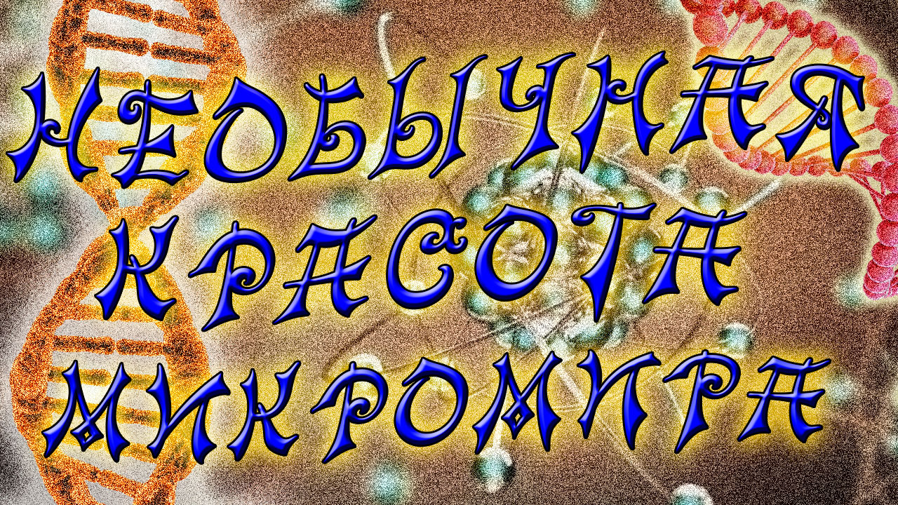 Необычная красота микромира. Интересное видео под микроскопом.