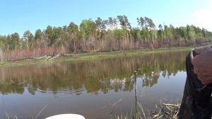 Чехонь на удочку. Ловим чехонь на поплавок.