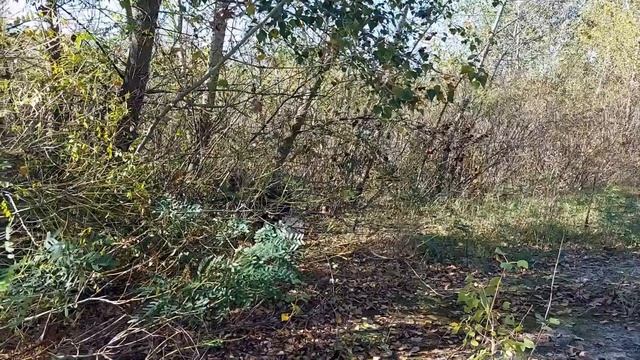 Секреты уборки