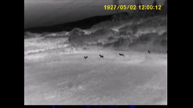 Pulsar Quantum XQ19 Thermal Scope termovize смотреть онлайн