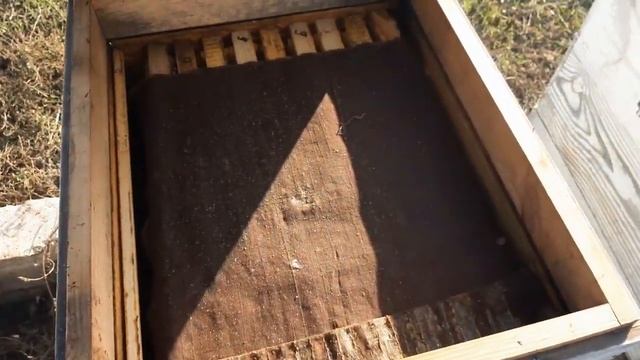 УСПЕХ ЗИМОВКИ БЕЗ УТЕПЛЕНИЯ.ЧИСТО СУХО И ПЧЕЛЫ УЖЕ В КЛУБЕ. смотреть онлайн