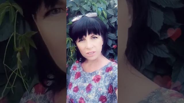 Консультация адвоката - почему нужно ценить своего адвоката смотреть онлайн