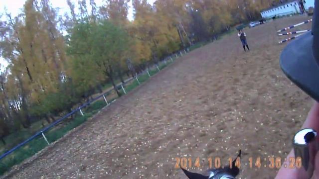 Тренировка по конкуру (ШВЕ "Династия"). смотреть онлайн