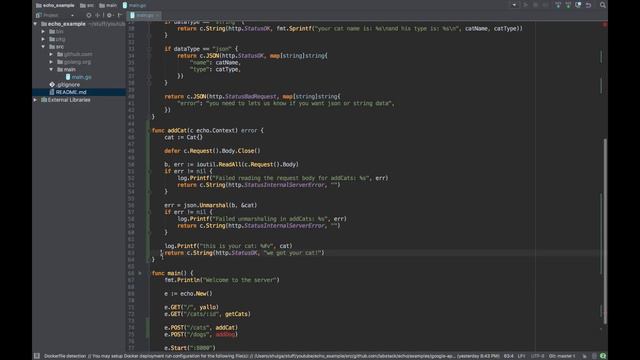 Creating Golang WebServer With Echo - Part 3：Parsing JSON From Request смотреть онлайн