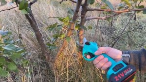 Обзор аккумуляторного секатора