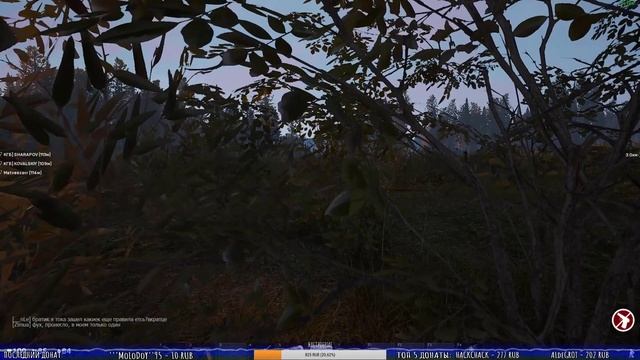 ☠ВЫЖИВАЕМ в СУРОВОМ МИРЕ ☠МЫ ЖДЁМ ПЕРЕМЕН ☠??Deadside??прямой эфир смотреть онлайн ? ▌Стрим ▌ смотреть онлайн