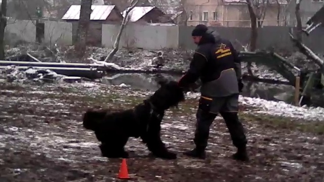 VID_20171028_114509 смотреть онлайн