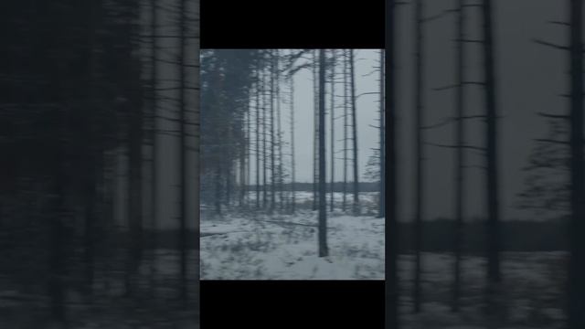 Никто не ожидал увидеть такое в лесу