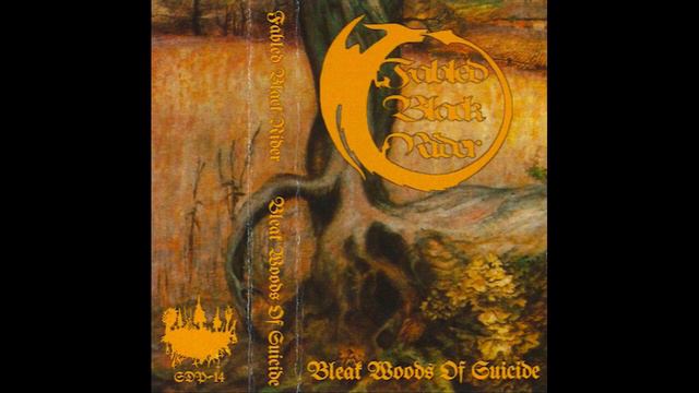 Fabled Black Rider - In The Fields Where You Were Last Seen, Where The Wild Weeds Grow смотреть онлайн