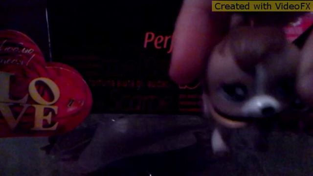 Мой новый lps . бигль ? смотреть онлайн