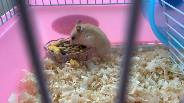 Какие они хорошие￼ смотреть онлайн