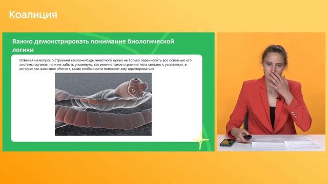 Руководство к Таланту