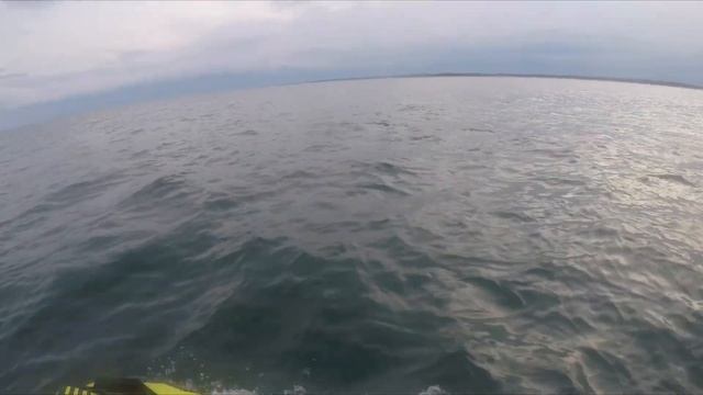 Found Dolphins on 2019 Yamaha GP1800R & Sea-doo RXP-X to the Ocean in Myrtle Beach Part 5 смотреть онлайн