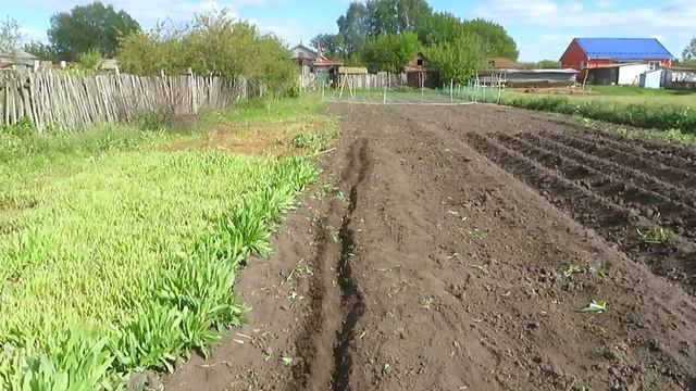 #69 Огородные дела.Как я посадил тыкву.