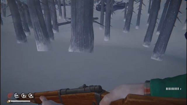 МОХНАТАЯ ЖОПА THE LONG DARK смотреть онлайн