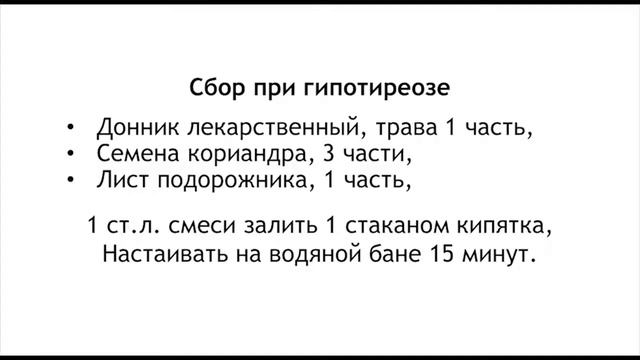 Кориандр и семена кориандра. Полезные свойства