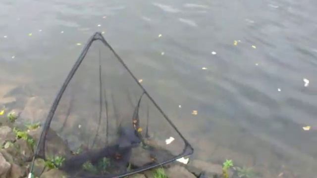 Ogden Reservoir Pike Fishing смотреть онлайн