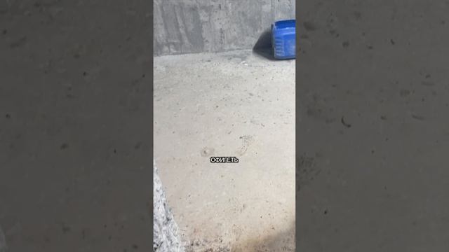 Самый простой и эффективный способ устранить конденсат в подвале #shorts смотреть онлайн