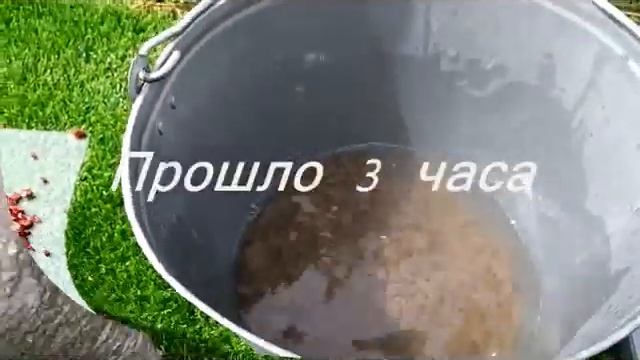 Цветной щебень в экстримальных условиях смотреть онлайн