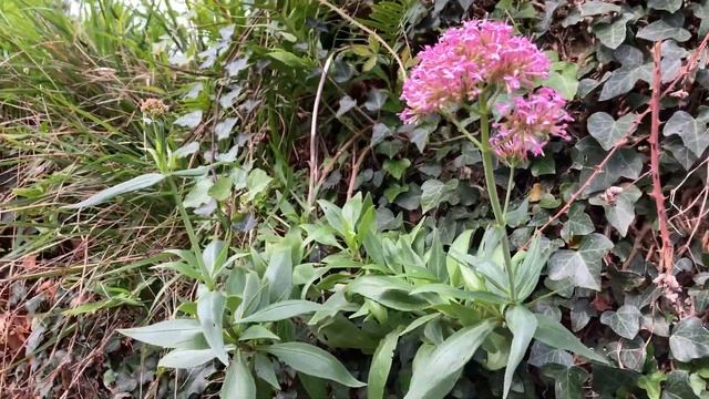 # 334 Рассрочка Уплаты Налога При Покупке Недвижимости В Испании. Покупка Квартиры Испания. Налоги