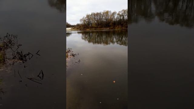 Наш Хопер (моё личное стихотворение) смотреть онлайн