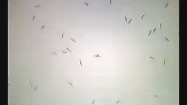 Модель строения элементарных частиц смотреть онлайн