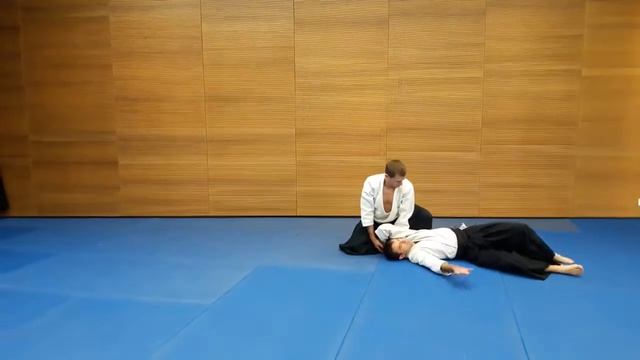 Hanmi hantachi waza, Katate dori, Shihoo nage смотреть онлайн